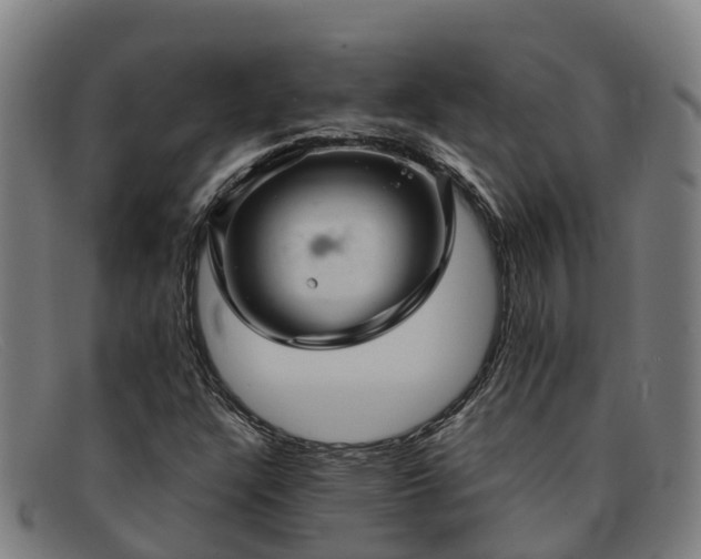 X0000091911304200709121510