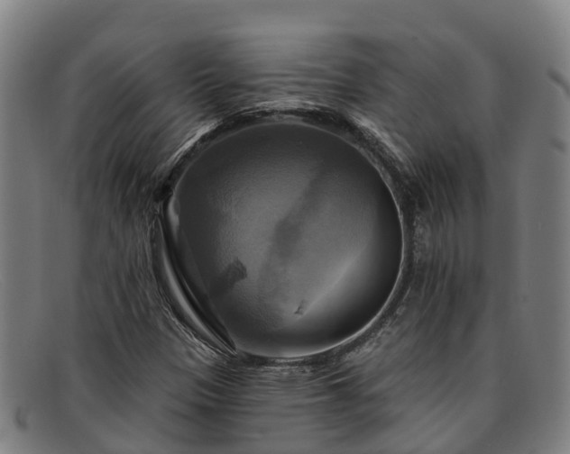 X0000091911305200709121510