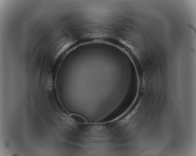 X0000091911306200709121510