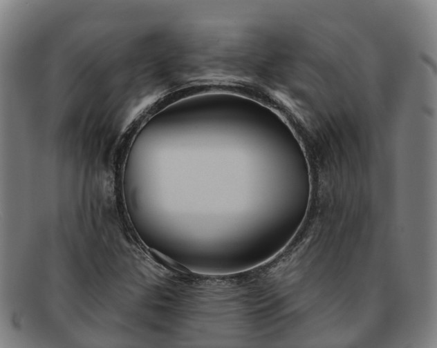 X0000091911307200709121510