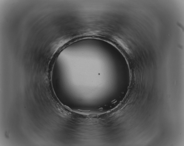 X0000091911308200709121510