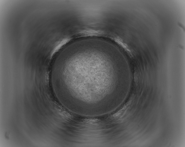 X0000091911309200709121510