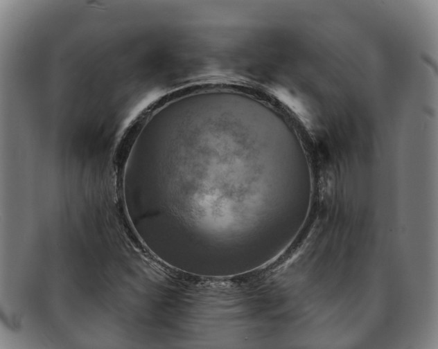 X0000091911310200709121510