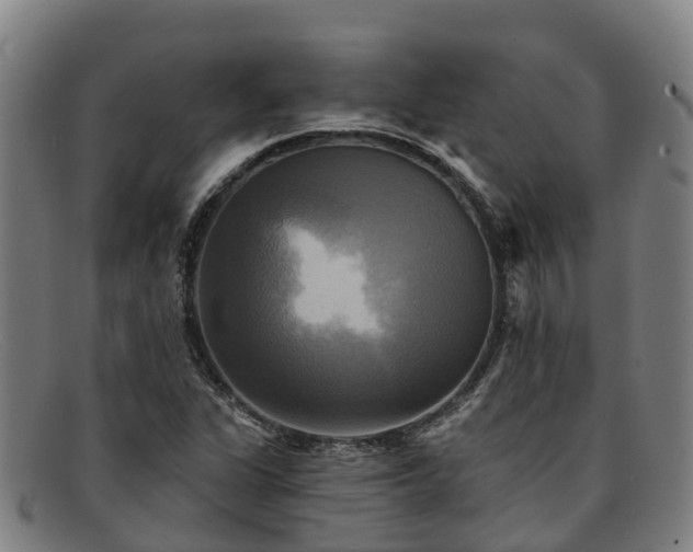 X0000091911311200709121510