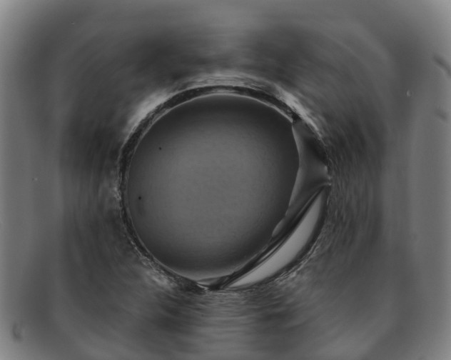 X0000091911312200709121510