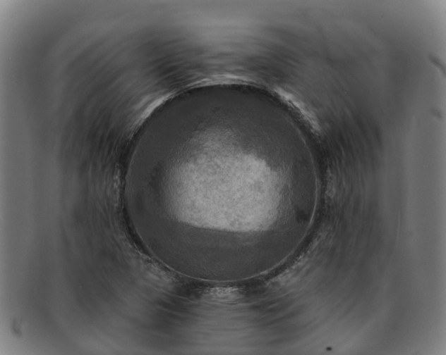 X0000091911313200709121510