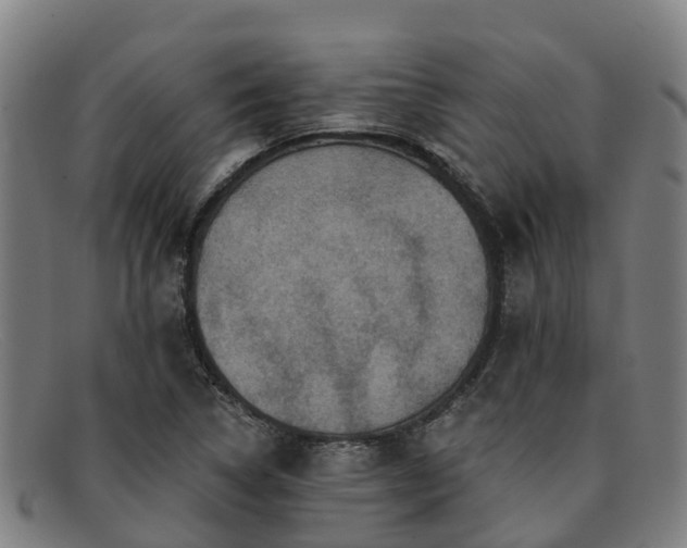 X0000091911314200709121510