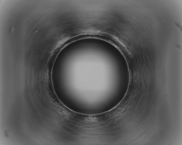 X0000091911315200709121510