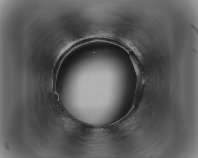 X0000091911316200709121510