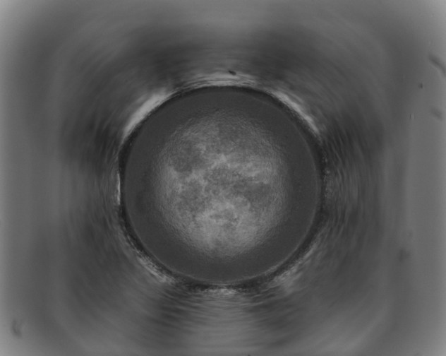 X0000091911317200709121510