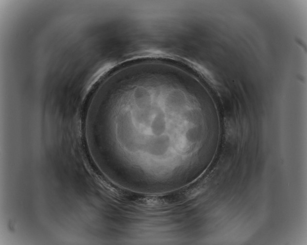 X0000091911318200709121510