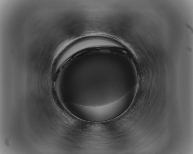 X0000091911319200709121510