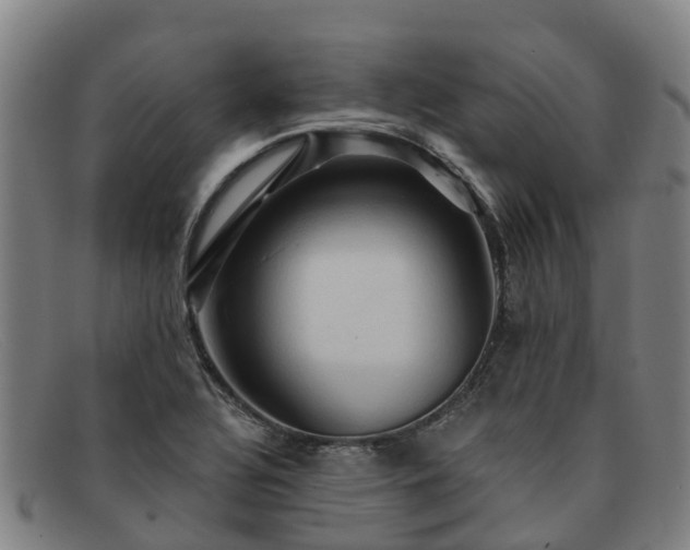 X0000091911320200709121510