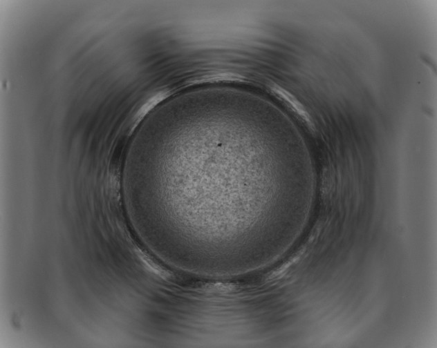 X0000091911321200709121510