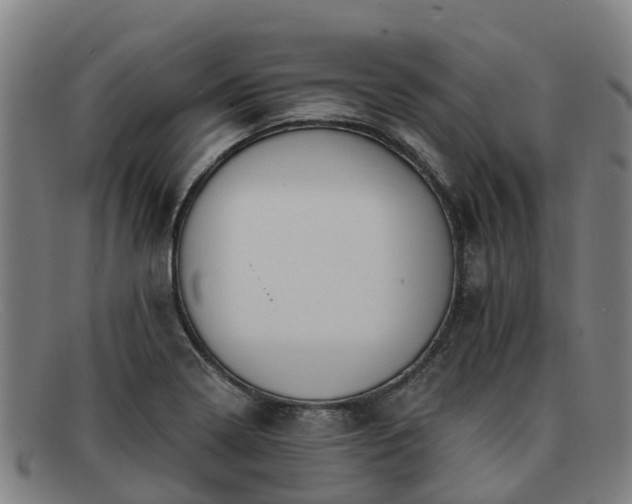 X0000091911322200709121510