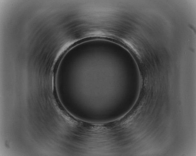 X0000091911323200709121510