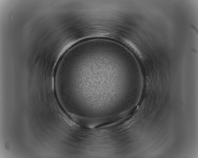 X0000091911324200709121510