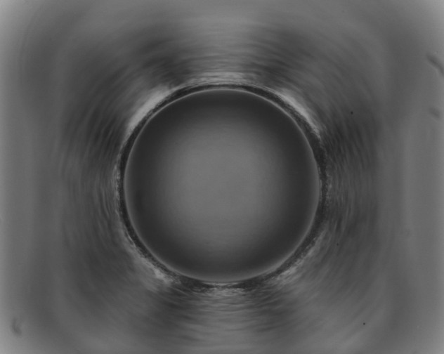 X0000091911325200709121510