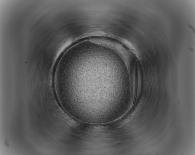 X0000091911326200709121510