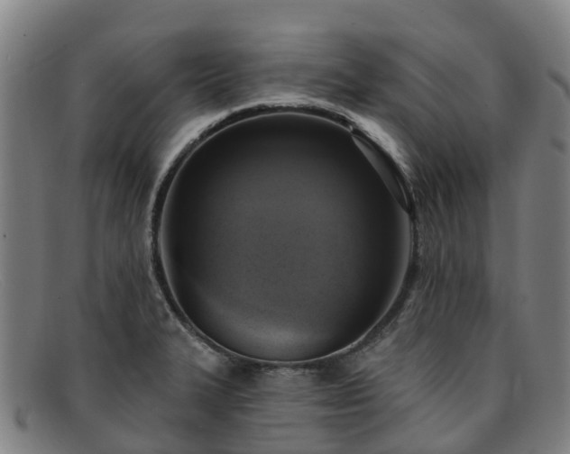 X0000091911327200709121510