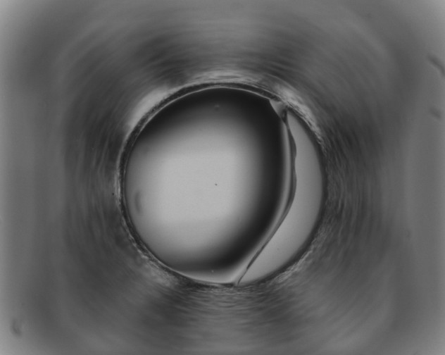 X0000091911328200709121510