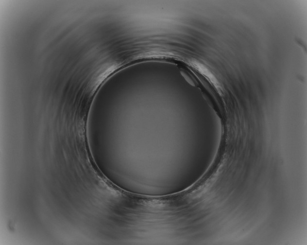 X0000091911329200709121510