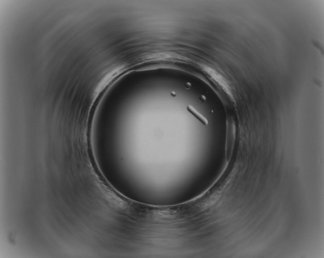 X0000091911330200709121510