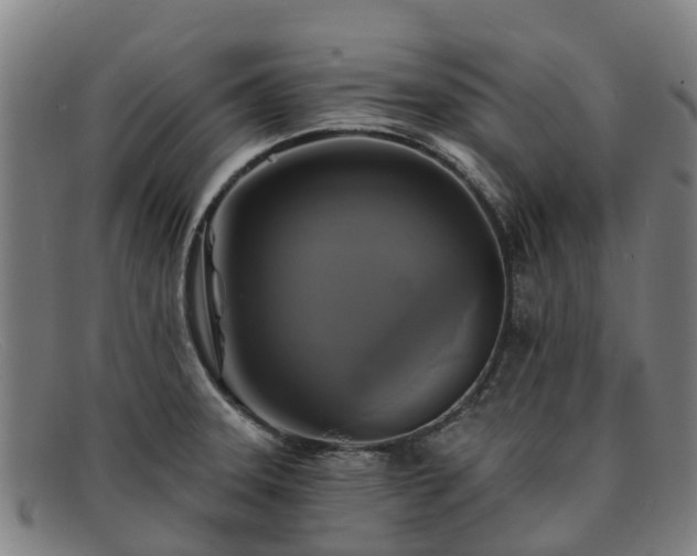 X0000091911331200709121510