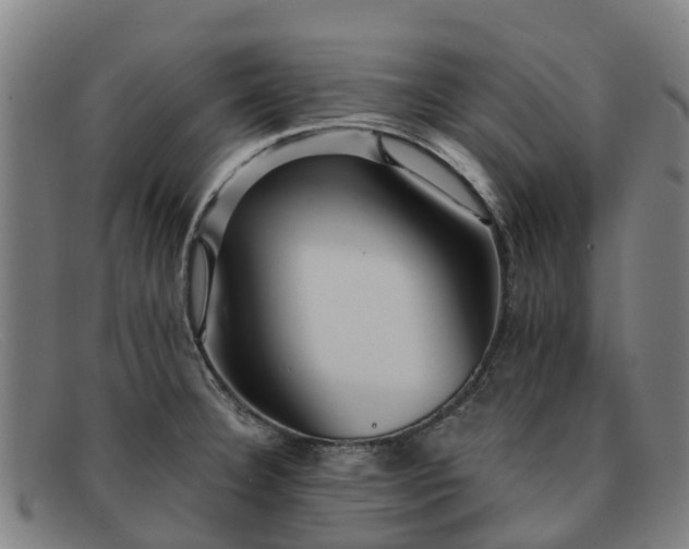 X0000091911332200709121510