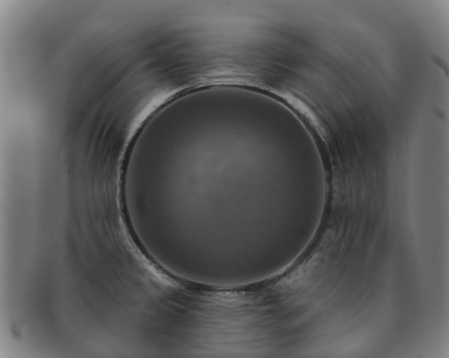 X0000091911333200709121510