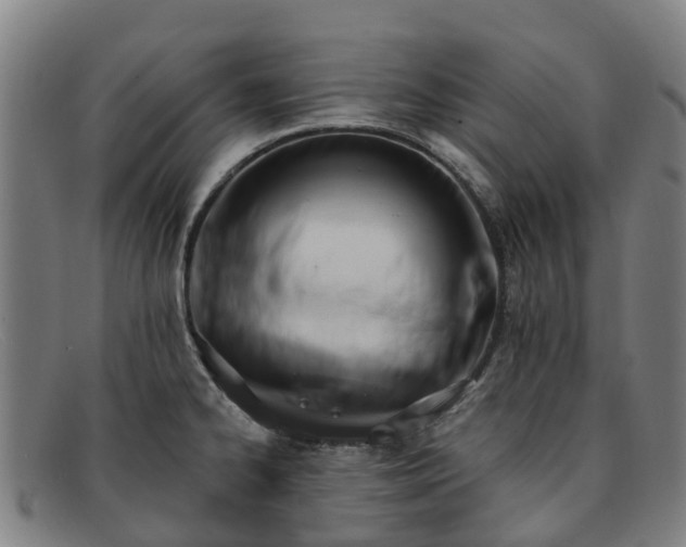 X0000091911334200709121510