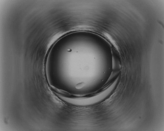 X0000091911336200709121510