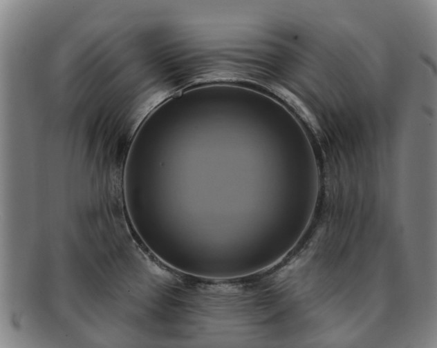 X0000091911337200709121510