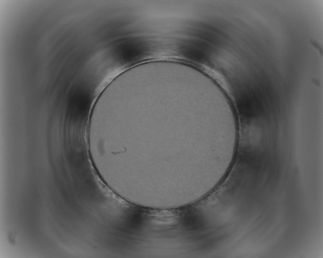 X0000091911338200709121510