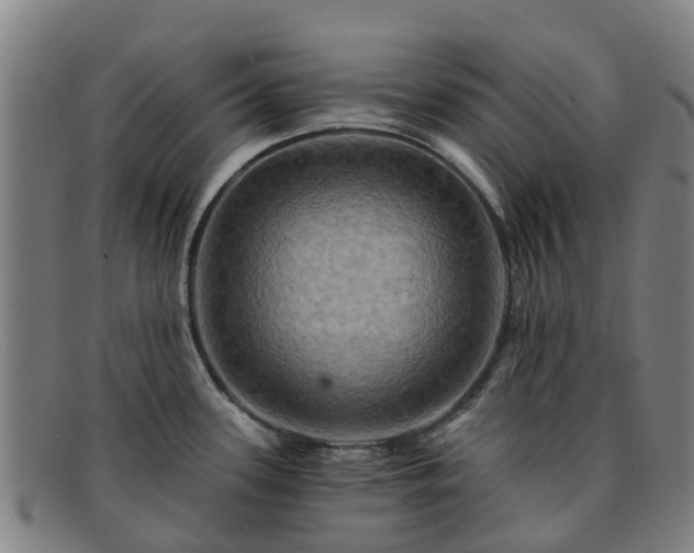 X0000091911339200709121510