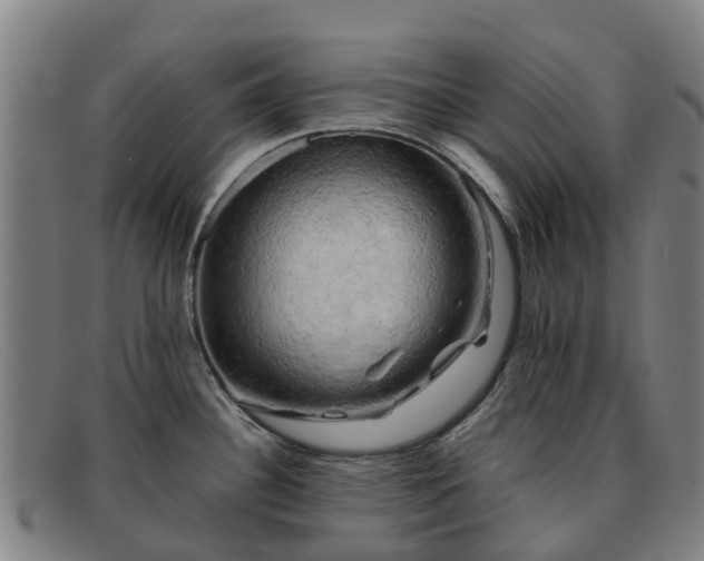 X0000091911340200709121510