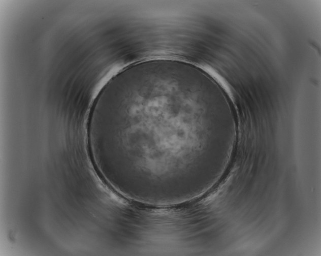 X0000091911341200709121510