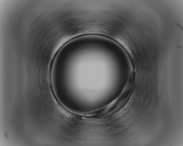 X0000091911342200709121510