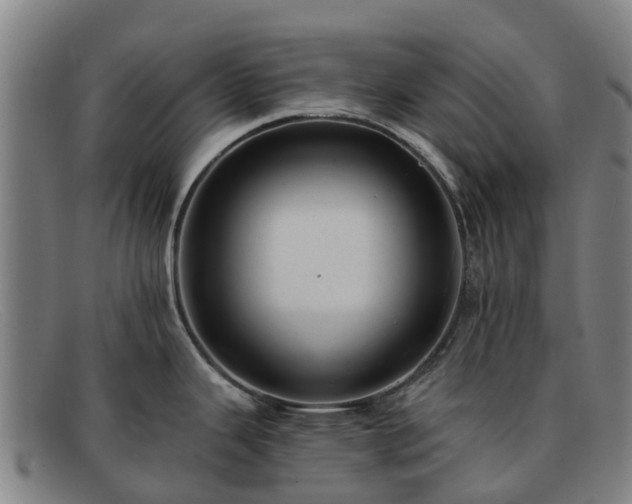 X0000091911343200709121510