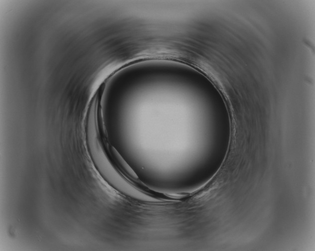 X0000091911344200709121510