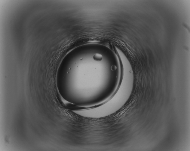 X0000091911345200709121510