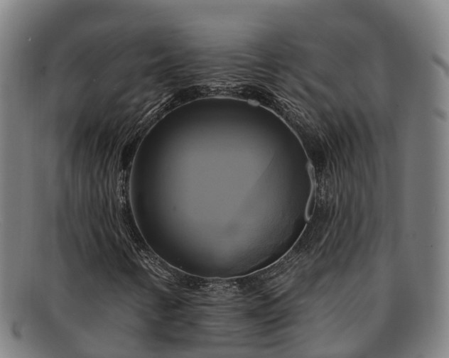 X0000091911346200709121510