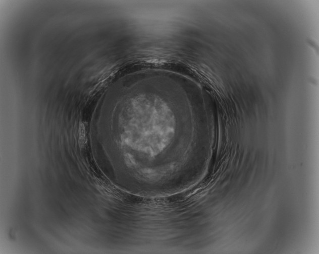 X0000091911347200709121510