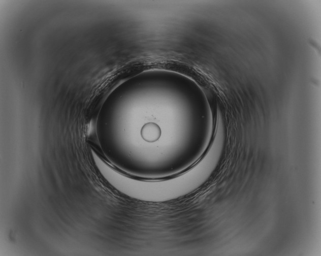 X0000091911348200709121510