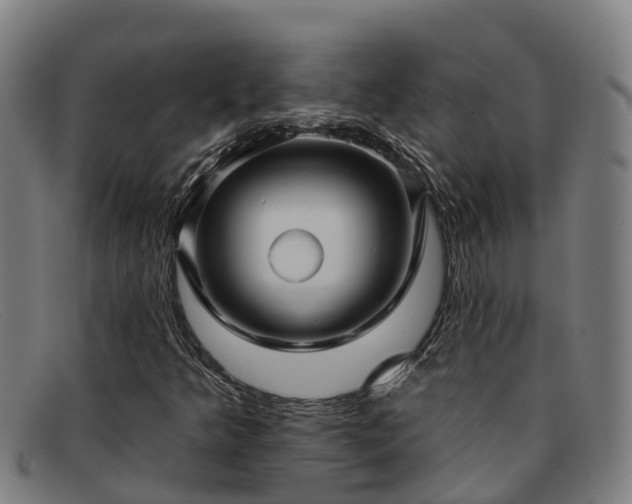 X0000091911349200709121510