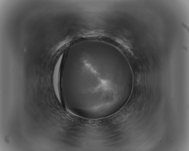 X0000091911350200709121510