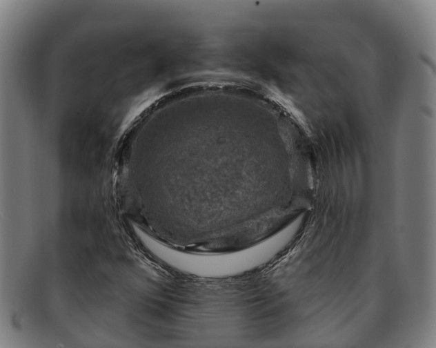 X0000091911352200709121509