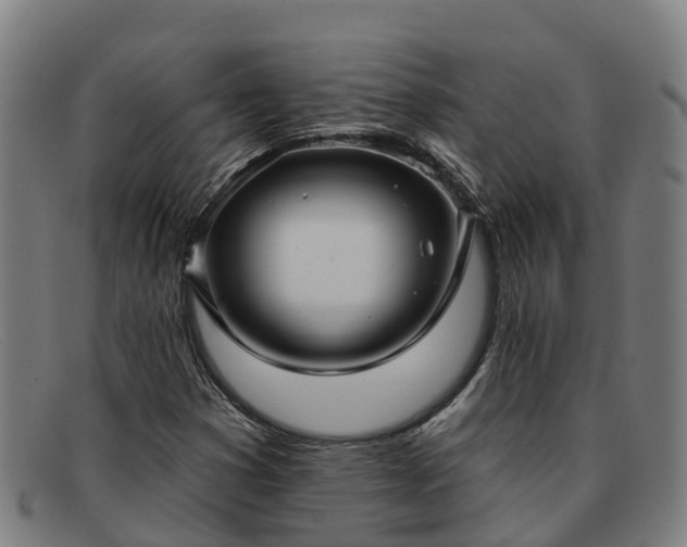 X0000091911353200709121509