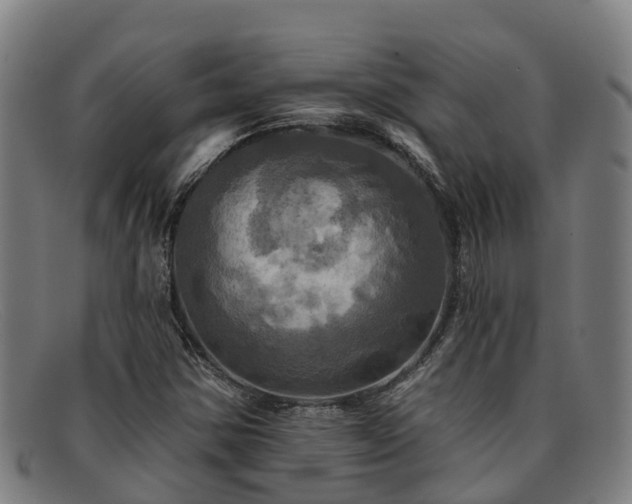 X0000091911354200709121509