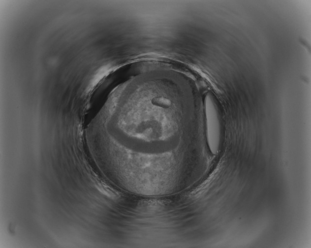 X0000091911355200709121509